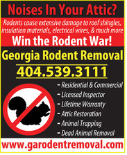 Avatar for Georgia Rodent Removal